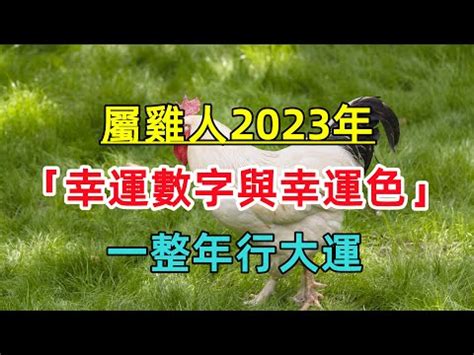 屬雞2023幸運色